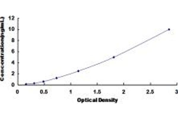 ABCC12 ELISA Kit