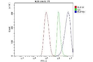 Flow Cytometry analysis of THP-1 cells using anti-CD39/ENTPD1 antibody (ABIN7602461). (CD39 antibody  (AA 79-411))