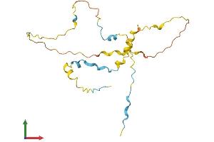 AlphaFold protein structure predicition of Human Recombinant C9orf40 Protein, UniprotID Q8IXQ3