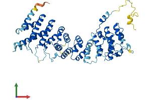 AlphaFold protein structure predicition of Mouse Recombinant Noc4l Protein, UniprotID Q8BHY2 (NOC4L Protein (AA 1-516) (His tag))