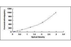Guanylate Cyclase Activator 2B (Uroguanylin) (GUCA2B) ELISA Kit