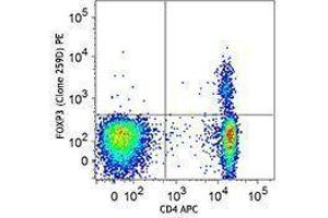 Flow Cytometry (FACS) image for anti-Forkhead Box P3 (FOXP3) antibody (PE) (ABIN2663698) (FOXP3 antibody  (PE))