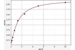 SLC25A5 ELISA Kit