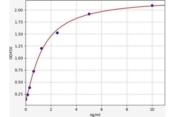 SLC25A5 ELISA Kit