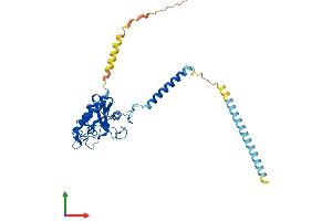 AlphaFold protein structure predicition of Human Recombinant GLIPR1L2 Protein, UniprotID Q4G1C9