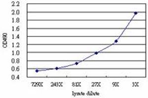 T (Human) Matched Antibody Pair