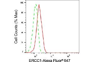 Flow cytometric analysis of ERCC1 expression in HepG2 cells using ERCC1 antibody (ABIN7798539), 1:2,000). (Recombinant ERCC1 antibody)
