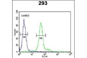 DDX23 Antibody (Center) (ABIN651059 and ABIN2840053) flow cytometric analysis of 293 cells (right histogram) compared to a negative control cell (left histogram). (DDX23 antibody  (AA 248-277))