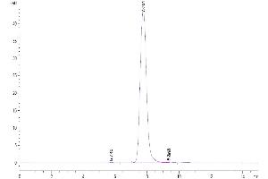 XPNPEP2 Protein (AA 23-650) (His tag)