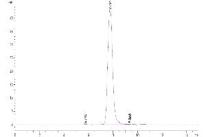 The purity of Rat XPNPEP2 is greater than 95 % as determined by SEC-HPLC. (XPNPEP2 Protein (AA 23-650) (His tag))