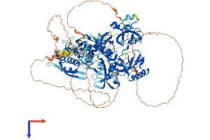 AlphaFold protein structure predicition of Mouse Recombinant Sfmbt2 Protein, UniprotID Q5DTW2 (SFMBT2 Protein (AA 1-938) (His tag))