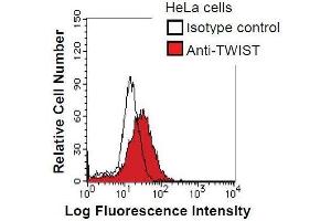 HeLa cells were fixed in 2% paraformaldehyde/PBS and then permeabilized in 90% methanol. (TWIST1 antibody)