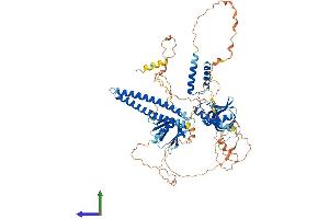 AlphaFold protein structure predicition of Mouse Recombinant Afap1 Protein, UniprotID Q80YS6 (AFAP Protein (AA 1-731) (His tag))