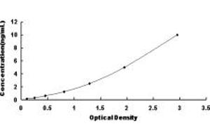 Typical standard curve (FAM20A ELISA Kit)