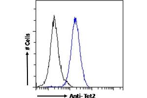 ABIN768637 Flow cytometric analysis of paraformaldehyde fixed NIH3T3 cells (blue line), permeabilized with 0.