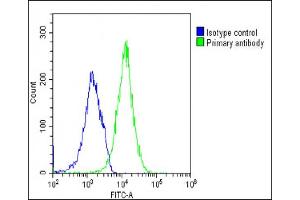 Overlay histogram showing U-2 OS cells stained with (ABIN6242977 and ABIN6577267)(green line). (TIM3 antibody)