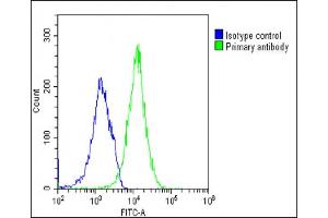 Overlay histogram showing U-2 OS cells stained with (ABIN6242977 and ABIN6577267)(green line). (TIM3 antibody)