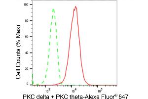 Flow cytometric analysis of PKC delta + PKC theta expression in HT- cells using PKC delta + PKC theta antibody (ABIN7799841), 1:2,000).