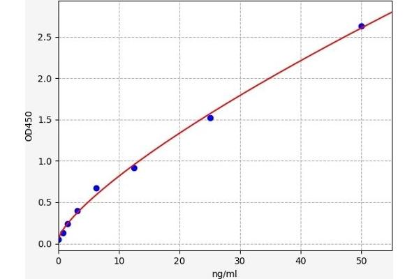 MYH11 ELISA Kit