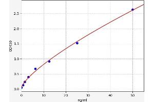 Typical standard curve (MYH11 ELISA Kit)