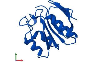 AlphaFold protein structure predicition of Mouse Recombinant Aamdc Protein, UniprotID Q8R0P4