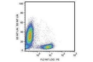 Flow Cytometry (FACS) image for anti-CD28 (CD28) antibody (ABIN781619) (CD28 antibody)