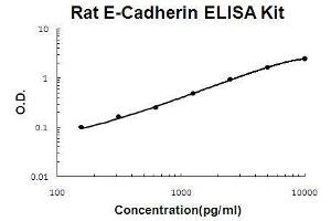 ELISA image for Cadherin 1, Type 1, E-Cadherin (Epithelial) (CDH1) ELISA Kit (ABIN3044706)
