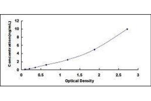 ELISA image for Calpastatin (CAST) ELISA Kit (ABIN425613) (Calpastatin ELISA Kit)