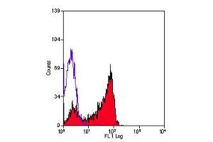 Staining of human peripheral blood lymphocytes with MOUSE ANTI HUMAN CD27:FITC (ABIN118576). (CD27 antibody  (FITC))