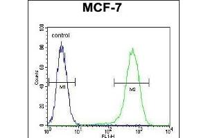 NUDT8 Antibody (N-term) (ABIN654517 and ABIN2844241) flow cytometric analysis of MCF-7 cells (right histogram) compared to a negative control cell (left histogram). (NUDT8 antibody  (N-Term))