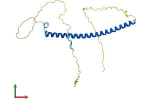 Protein Structure (PS) image for Geminin, DNA Replication Inhibitor (GMNN) (AA 1-206) protein (His tag) (ABIN7562618)