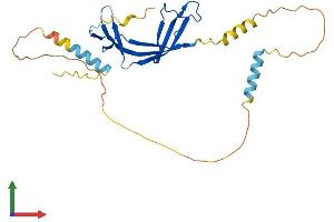 AlphaFold protein structure predicition of Mouse Recombinant Eaf2 Protein, UniprotID Q91ZD6 (EAF2 Protein (AA 1-262) (His tag))