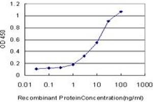 Detection limit for recombinant GST tagged CD97 is approximately 0. (CD97 antibody  (AA 421-529))