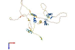 AlphaFold protein structure predicition of Human Recombinant ZNF385C Protein, UniprotID Q66K41