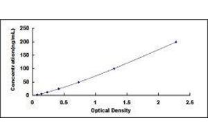 ELISA image for Fatty Acid Binding Protein 4, Adipocyte (FABP4) ELISA Kit (ABIN432282)