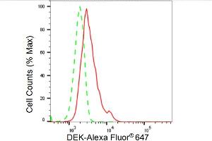 Flow cytometric analysis of DEK expression in HeLa cells using DEK antibody (ABIN7798303), 1:2,000). (Recombinant DEK antibody)
