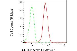 anti-CREB Regulated Transcription Coactivator 2 (CRTC2) antibody
