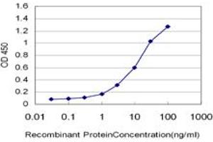 Detection limit for recombinant GST tagged MSMB is approximately 0. (MSMB antibody  (AA 1-114))
