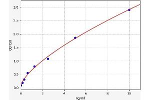 ABCG1 ELISA Kit