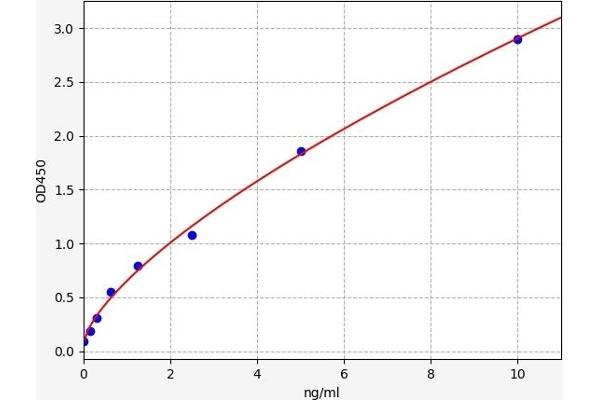 ABCG1 ELISA Kit