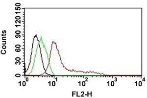Flow cytometric analysis of MCF-7 cell with Human nuclei monoclonal antibody, clone 235-1 (PE)  (red). (Nuclei antibody (PE))