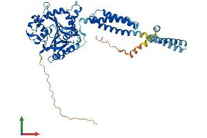 AlphaFold protein structure predicition of Human Recombinant ATL1 Protein, UniprotID Q8WXF7 (ATL1 Protein (AA 1-558) (His tag))