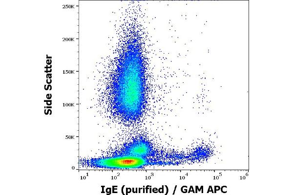 IgE antibody