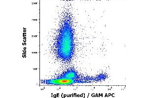 Flow cytometry surface staining pattern of human peripheral whole blood stained using anti-human IgE (4G7. (Mouse anti-Human IgE Antibody)