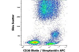 Flow cytometry surface staining pattern of human peripheral whole blood stained using anti-human CD36 (TR9) Biotin antibody (concentration in sample 0,6 μg/mL, Streptavidin APC). (CD36 antibody  (Biotin))