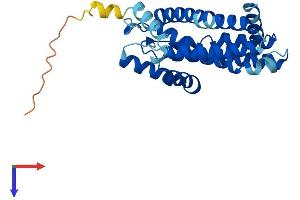 AlphaFold protein structure predicition of Human Recombinant UNC50 Protein, UniprotID Q53HI1 (UNC50 Protein (AA 1-259) (His tag))