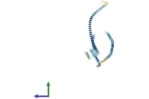 AlphaFold protein structure predicition of Mouse Recombinant Mns1 Protein, UniprotID Q61884 (MNS1 Protein (AA 1-491) (His tag))