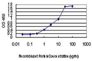 Detection limit for recombinant GST tagged STAU2 is approximately 0. (Double-stranded RNA-binding protein Staufen homolog 2 (STAU2) (AA 2-90) antibody)