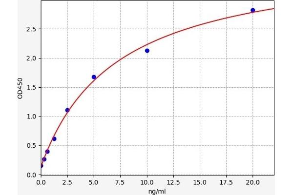 CNR1 ELISA Kit