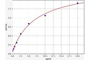 Typical standard curve (CNR1 ELISA Kit)